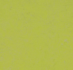 Marmoleum Concrete Green glow 3742