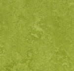 Marmoleum Fresco Green 3247