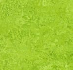 Marmoleum Real Chartreuse 3224