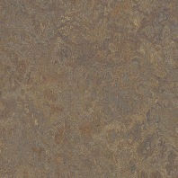 Marmoleum Vivace Cork tree 3426