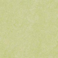 Marmoleum Real Green wellness 3881