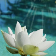 Kurz osobního rozvoje 2