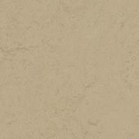 Marmoleum Concrete Kaolin