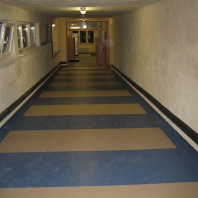 Linoleum marmoleum 5