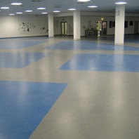 Linoleum marmoleum 6