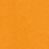 Marmoleum Fresco Marigold 3262