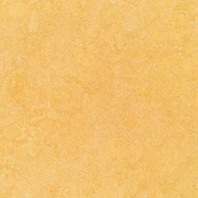 Marmoleum Fresco natural corn 3846