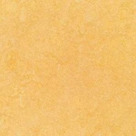 Marmoleum Fresco Natural corn 3846