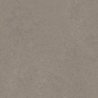 Marmoleum Concrete Liquid clay