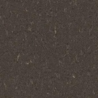 Marmoleum Piano Sealion 3632