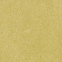Marmoleum Fresco Mustard