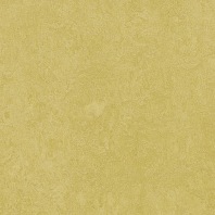 Marmoleum Fresco Mustard 3259